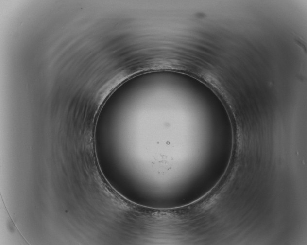 X0000103241089200809041041