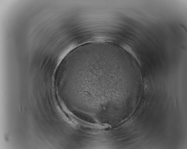 X0000103241091200809041041