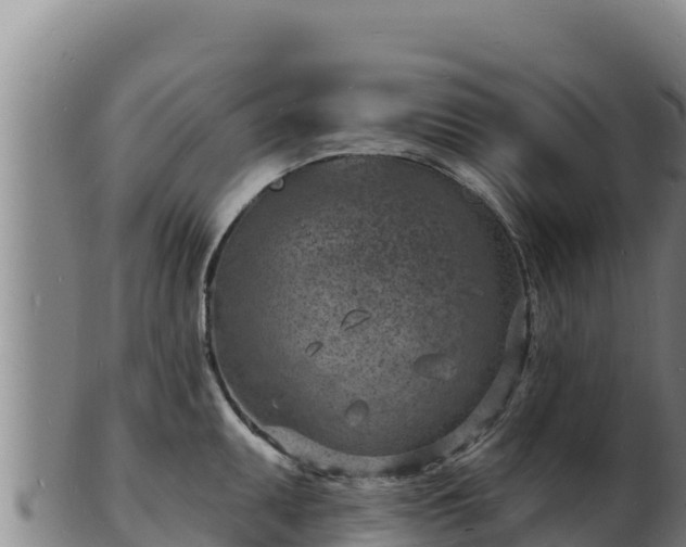 X0000103241095200809041041