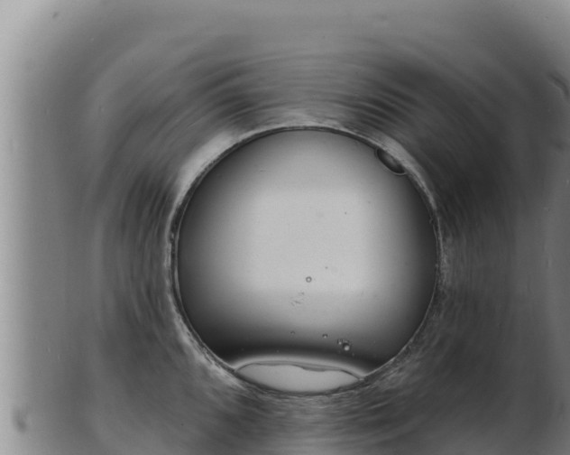 X0000103241096200809041041