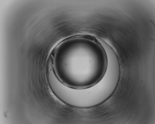 X0000103241100200809041041