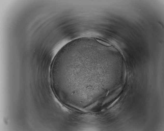 X0000103241103200809041041