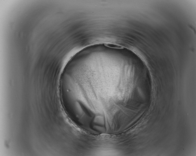 X0000103241104200809041041