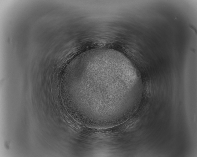 X0000103241105200809041040