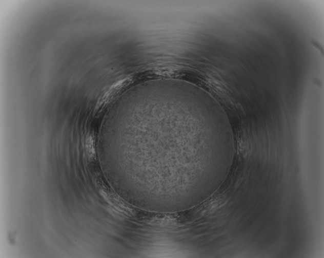 X0000103241106200809041040