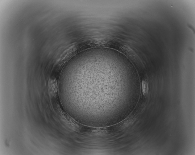 X0000103241107200809041040