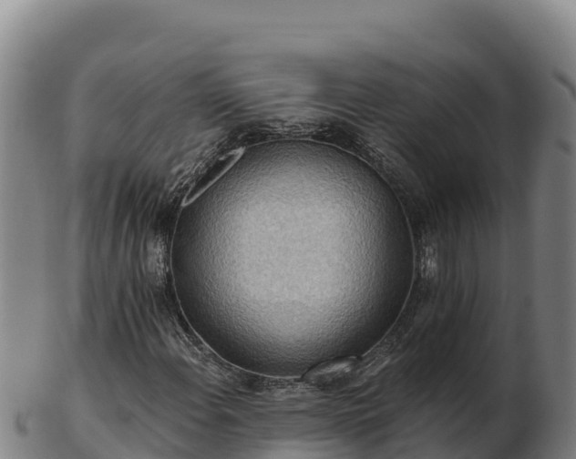 X0000103241108200809041040