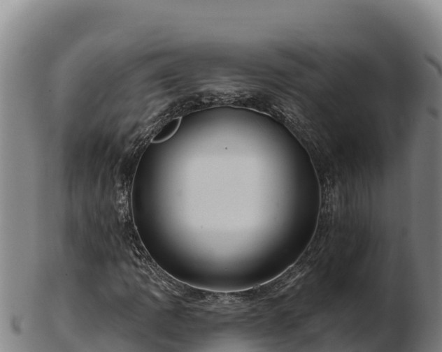 X0000103241109200809041040