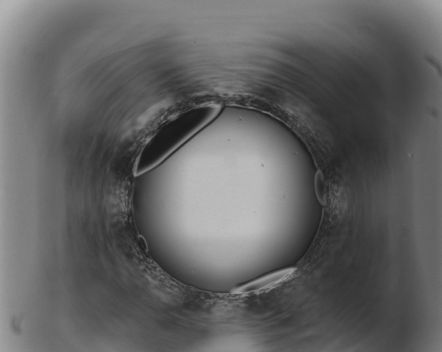 X0000103241110200809041040