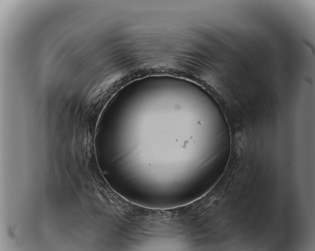 X0000103241111200809041040