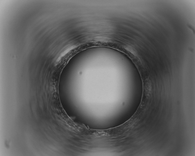 X0000103241112200809041040