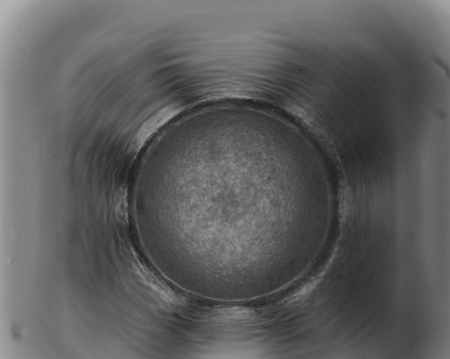 X0000103241113200809041040