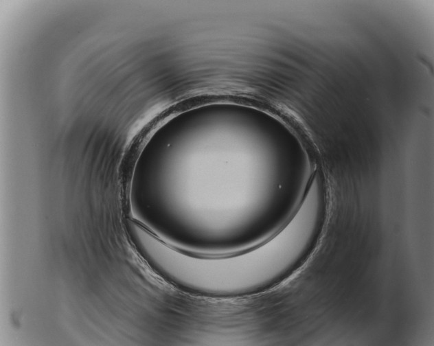 X0000103241114200809041040