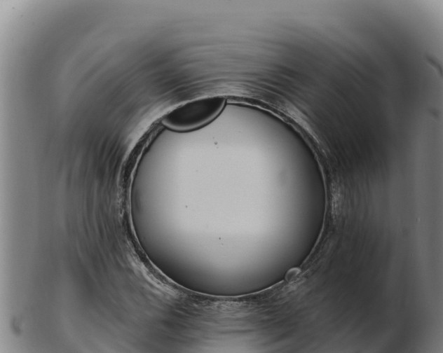 X0000103241116200809041040