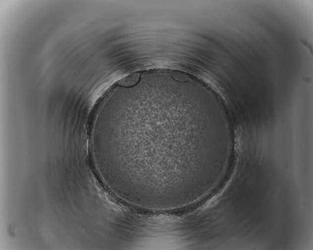 X0000103241117200809041040