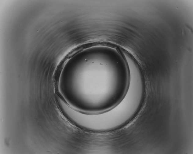 X0000103241118200809041040