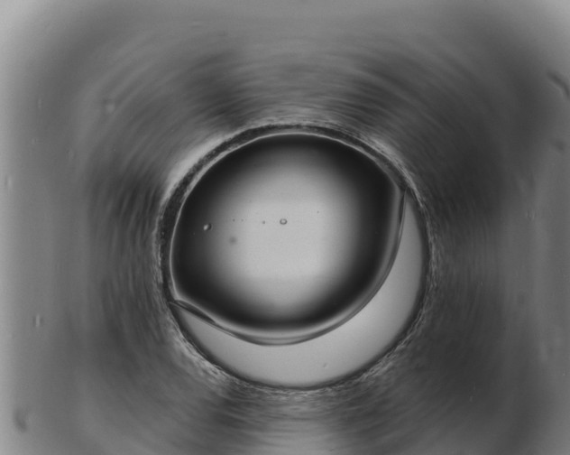 X0000103241120200809041041