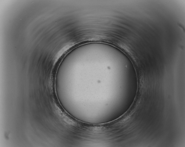 X0000103241122200809041041