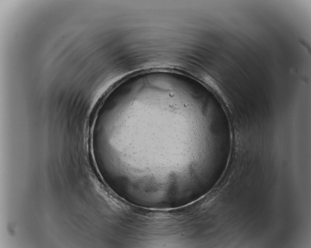 X0000103241124200809041041