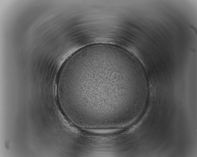 X0000103241125200809041041