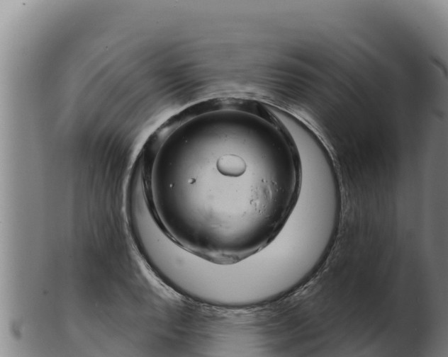 X0000103241128200809041041