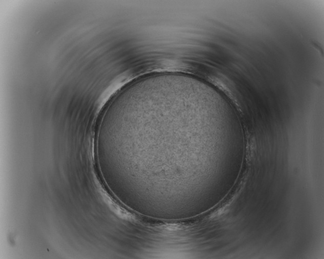 X0000103241130200809041041