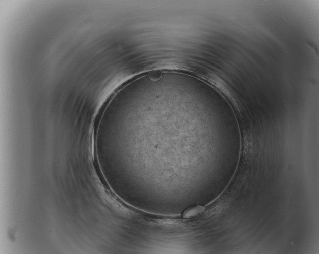 X0000103241132200809041041