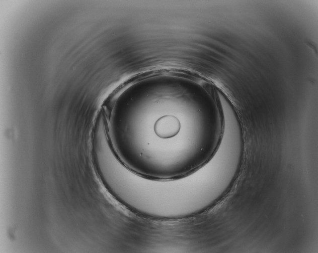 X0000103241134200809041041