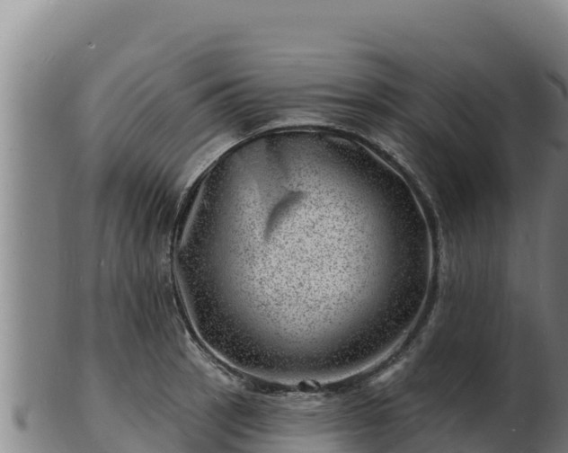 X0000103241137200809041041