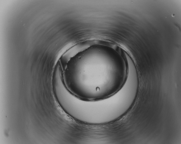 X0000103241138200809041041