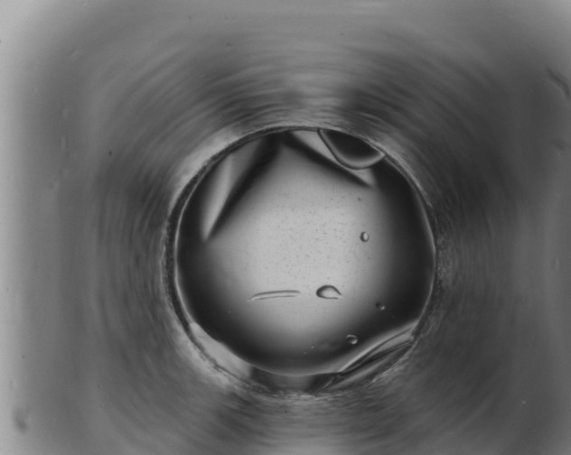 X0000103241139200809041041