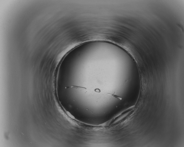 X0000103241142200809041041