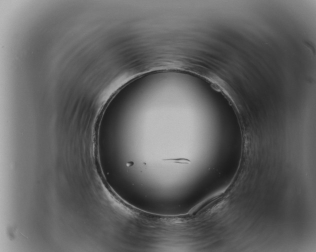 X0000103241143200809041041