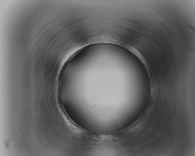 X0000103241144200809041041