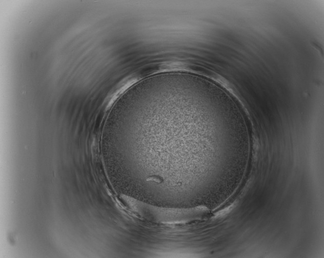 X0000103241145200809041041