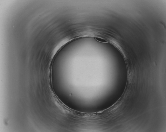 X0000103241146200809041041