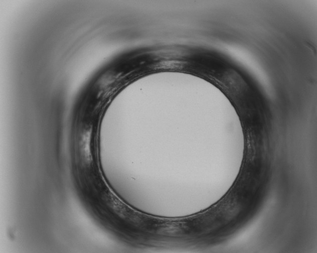 X0000103241150200809041041