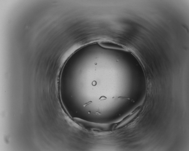 X0000103241151200809041041