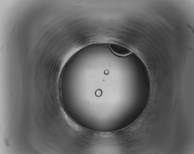 X0000103241152200809041041