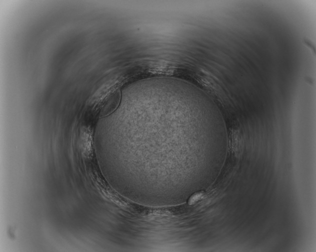 X0000103241154200809041040