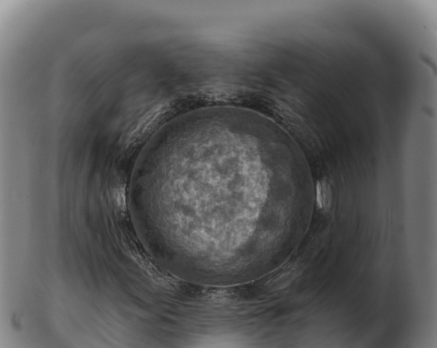 X0000103241155200809041040