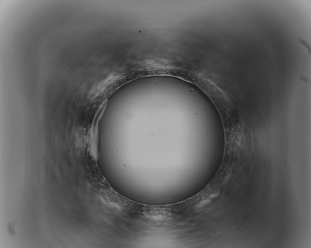 X0000103241157200809041040