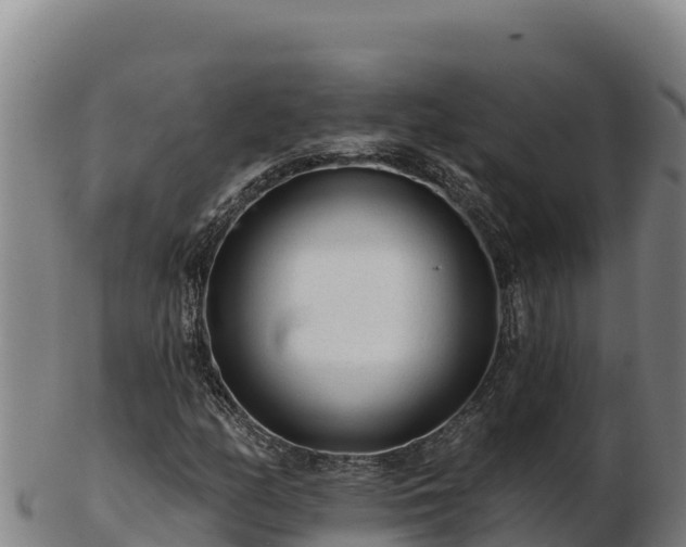 X0000103241158200809041040