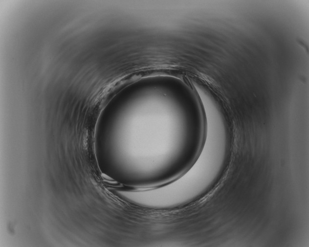 X0000103241161200809041040