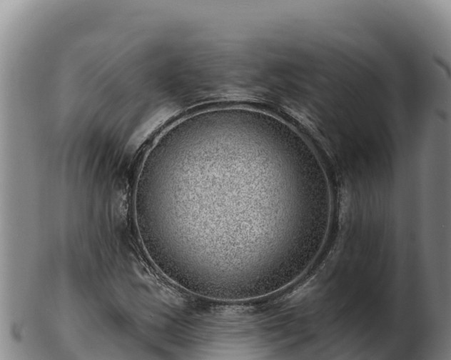 X0000103241163200809041040