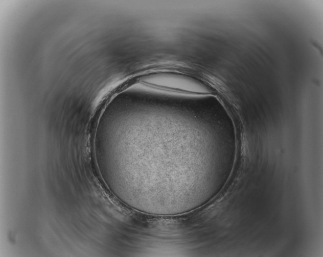 X0000103241164200809041040