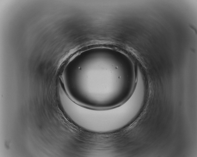 X0000103241165200809041040