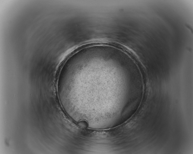 X0000103241168200809041040