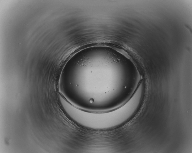 X0000103241169200809041040