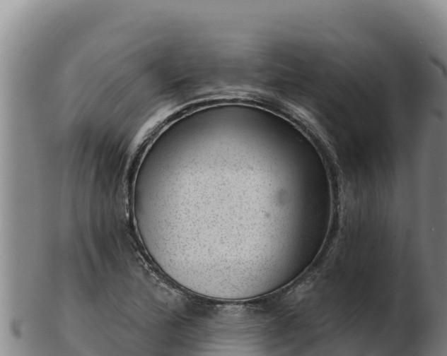 X0000103241172200809041040